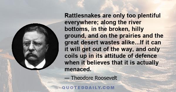 Rattlesnakes are only too plentiful everywhere; along the river bottoms, in the broken, hilly ground, and on the prairies and the great desert wastes alike...If it can it will get out of the way, and only coils up in