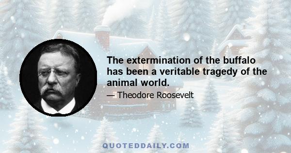 The extermination of the buffalo has been a veritable tragedy of the animal world.