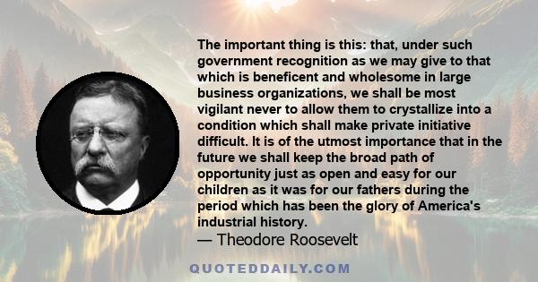 The important thing is this: that, under such government recognition as we may give to that which is beneficent and wholesome in large business organizations, we shall be most vigilant never to allow them to crystallize 