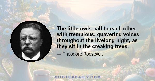 The little owls call to each other with tremulous, quavering voices throughout the livelong night, as they sit in the creaking trees.