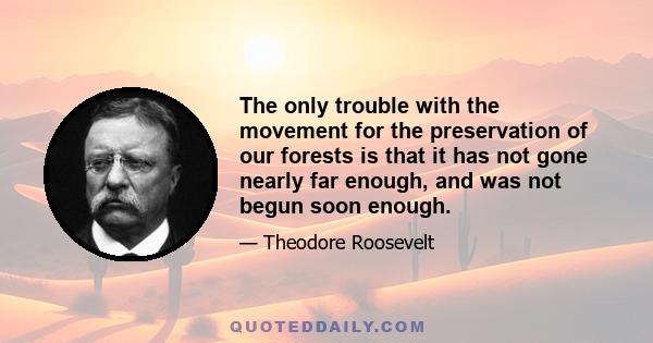 The only trouble with the movement for the preservation of our forests is that it has not gone nearly far enough, and was not begun soon enough.