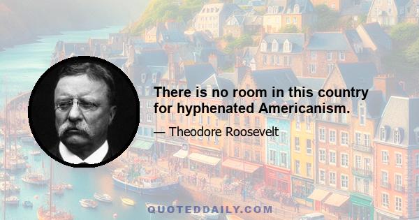 There is no room in this country for hyphenated Americanism.