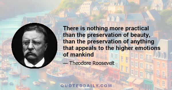 There is nothing more practical than the preservation of beauty, than the preservation of anything that appeals to the higher emotions of mankind