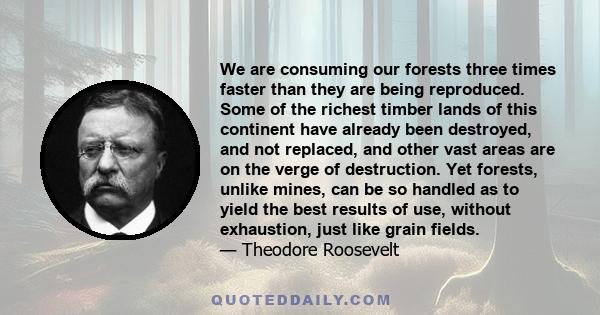 We are consuming our forests three times faster than they are being reproduced. Some of the richest timber lands of this continent have already been destroyed, and not replaced, and other vast areas are on the verge of