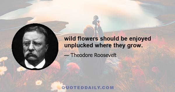 wild flowers should be enjoyed unplucked where they grow.