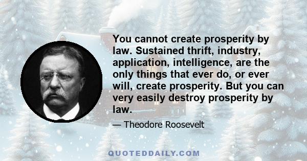 You cannot create prosperity by law. Sustained thrift, industry, application, intelligence, are the only things that ever do, or ever will, create prosperity. But you can very easily destroy prosperity by law.