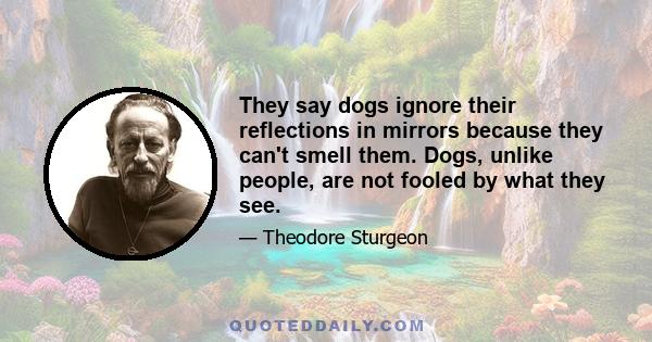 They say dogs ignore their reflections in mirrors because they can't smell them. Dogs, unlike people, are not fooled by what they see.