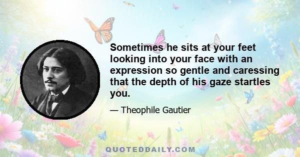 Sometimes he sits at your feet looking into your face with an expression so gentle and caressing that the depth of his gaze startles you.