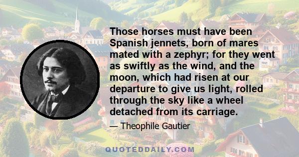 Those horses must have been Spanish jennets, born of mares mated with a zephyr; for they went as swiftly as the wind, and the moon, which had risen at our departure to give us light, rolled through the sky like a wheel