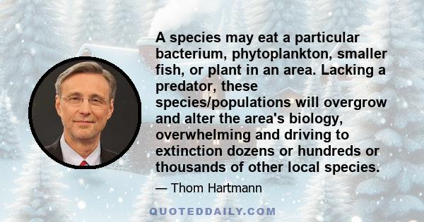 A species may eat a particular bacterium, phytoplankton, smaller fish, or plant in an area. Lacking a predator, these species/populations will overgrow and alter the area's biology, overwhelming and driving to