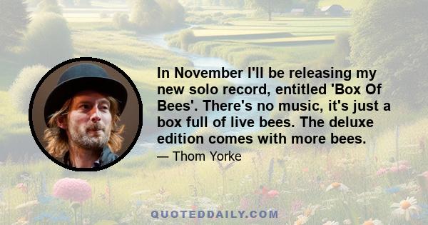 In November I'll be releasing my new solo record, entitled 'Box Of Bees'. There's no music, it's just a box full of live bees. The deluxe edition comes with more bees.