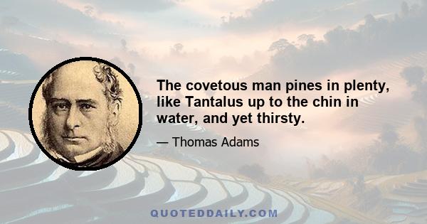 The covetous man pines in plenty, like Tantalus up to the chin in water, and yet thirsty.