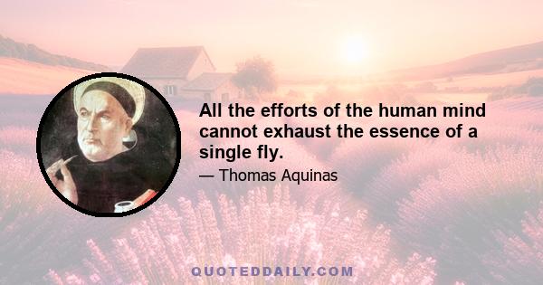 All the efforts of the human mind cannot exhaust the essence of a single fly.