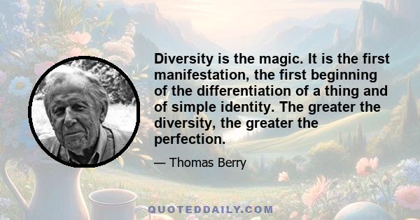 Diversity is the magic. It is the first manifestation, the first beginning of the differentiation of a thing and of simple identity. The greater the diversity, the greater the perfection.