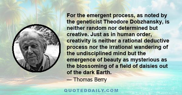 For the emergent process, as noted by the geneticist Theodore Dobzhansky, is neither random nor determined but creative. Just as in human order, creativity is neither a rational deductive process nor the irrational