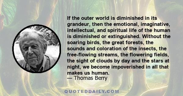 If the outer world is diminished in its grandeur, then the emotional, imaginative, intellectual, and spiritual life of the human is diminished or extinguished. Without the soaring birds, the great forests, the sounds