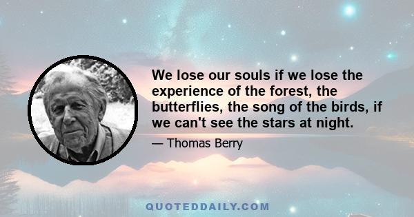 We lose our souls if we lose the experience of the forest, the butterflies, the song of the birds, if we can't see the stars at night.