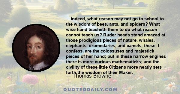 ... indeed, what reason may not go to school to the wisdom of bees, ants, and spiders? What wise hand teacheth them to do what reason cannot teach us? Ruder heads stand amazed at those prodigious pieces of nature,