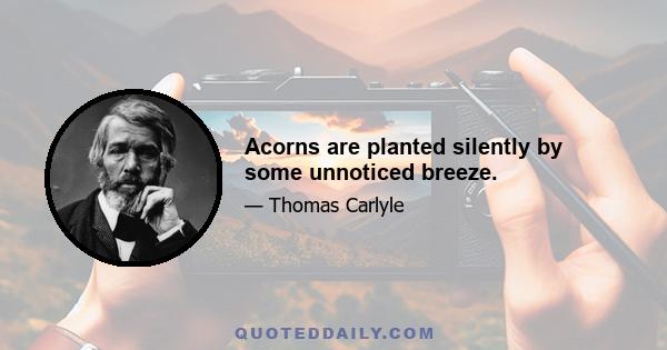 Acorns are planted silently by some unnoticed breeze.