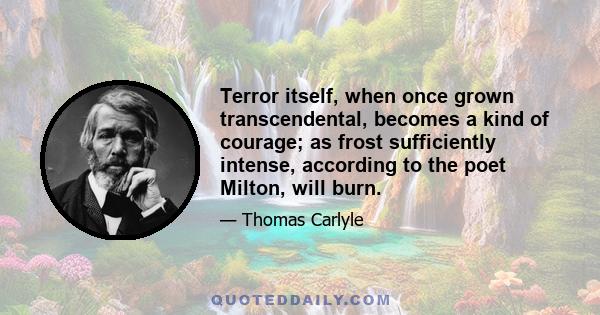 Terror itself, when once grown transcendental, becomes a kind of courage; as frost sufficiently intense, according to the poet Milton, will burn.