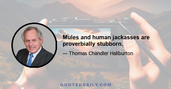 Mules and human jackasses are proverbially stubborn.