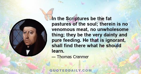 In the Scriptures be the fat pastures of the soul; therein is no venomous meat, no unwholesome thing; they be the very dainty and pure feeding. He that is ignorant, shall find there what he should learn.