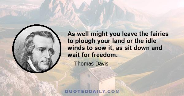 As well might you leave the fairies to plough your land or the idle winds to sow it, as sit down and wait for freedom.