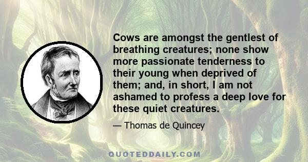 Cows are amongst the gentlest of breathing creatures; none show more passionate tenderness to their young when deprived of them; and, in short, I am not ashamed to profess a deep love for these quiet creatures.