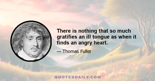 There is nothing that so much gratifies an ill tongue as when it finds an angry heart.