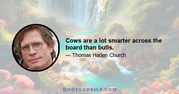 Cows are a lot smarter across the board than bulls.