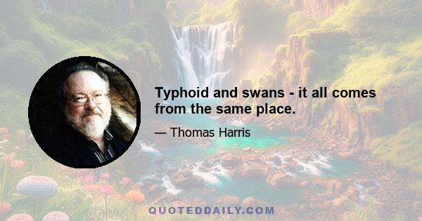 Typhoid and swans - it all comes from the same place.