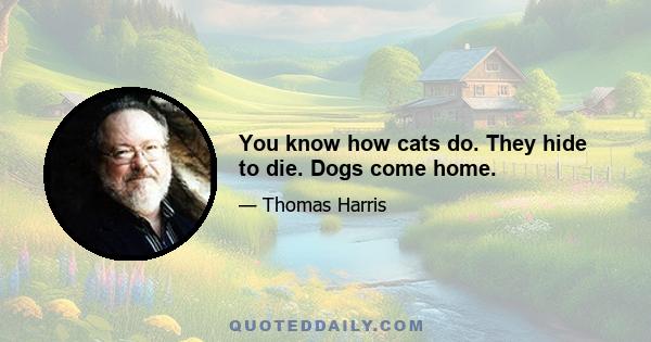 You know how cats do. They hide to die. Dogs come home.