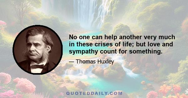 No one can help another very much in these crises of life; but love and sympathy count for something.