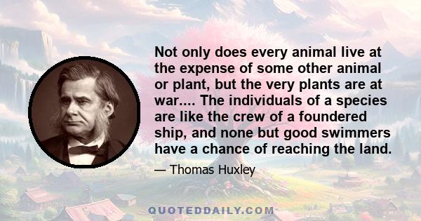 Not only does every animal live at the expense of some other animal or plant, but the very plants are at war.... The individuals of a species are like the crew of a foundered ship, and none but good swimmers have a