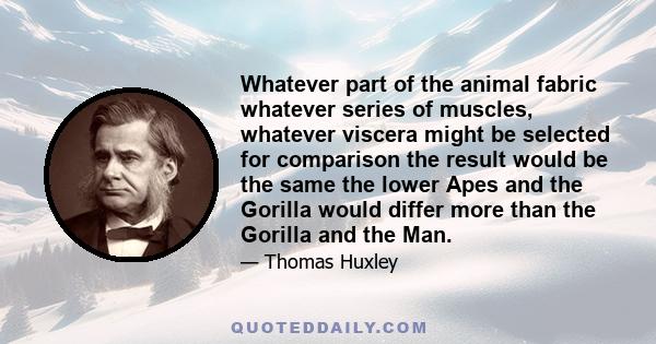 Whatever part of the animal fabric whatever series of muscles, whatever viscera might be selected for comparison the result would be the same the lower Apes and the Gorilla would differ more than the Gorilla and the Man.