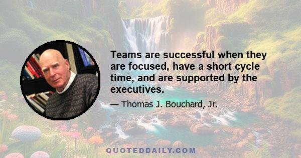 Teams are successful when they are focused, have a short cycle time, and are supported by the executives.