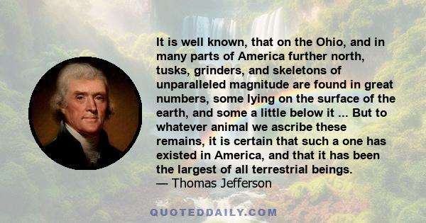 It is well known, that on the Ohio, and in many parts of America further north, tusks, grinders, and skeletons of unparalleled magnitude are found in great numbers, some lying on the surface of the earth, and some a