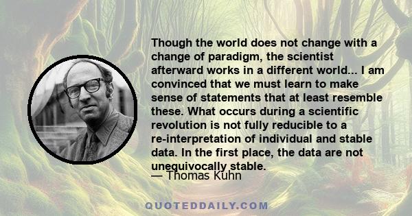 Though the world does not change with a change of paradigm, the scientist afterward works in a different world... I am convinced that we must learn to make sense of statements that at least resemble these. What occurs