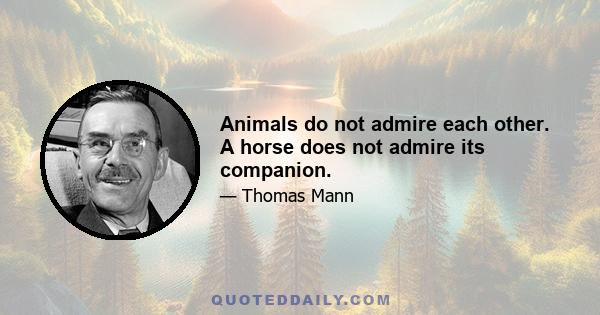 Animals do not admire each other. A horse does not admire its companion.