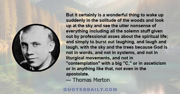 But it certainly is a wonderful thing to wake up suddenly in the solitude of the woods and look up at the sky and see the utter nonsense of everything including all the solemn stuff given out by professional asses about 