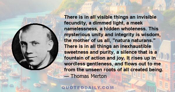 There is in all visible things an invisible fecundity, a dimmed light, a meek namelessness, a hidden wholeness. This mysterious unity and integrity is wisdom, the mother of us all, natura naturans. There is in all