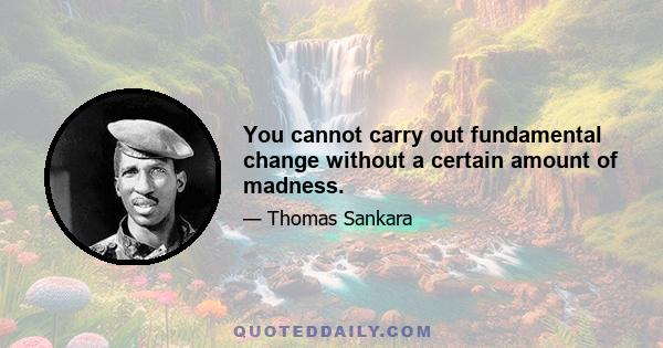 You cannot carry out fundamental change without a certain amount of madness.