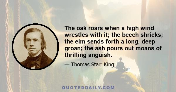 The oak roars when a high wind wrestles with it; the beech shrieks; the elm sends forth a long, deep groan; the ash pours out moans of thrilling anguish.