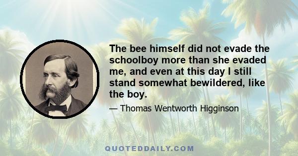 The bee himself did not evade the schoolboy more than she evaded me, and even at this day I still stand somewhat bewildered, like the boy.