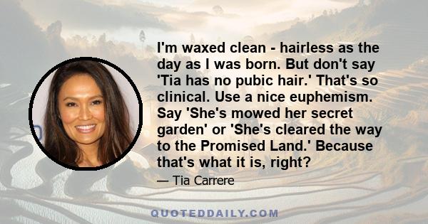 I'm waxed clean - hairless as the day as I was born. But don't say 'Tia has no pubic hair.' That's so clinical. Use a nice euphemism. Say 'She's mowed her secret garden' or 'She's cleared the way to the Promised Land.'