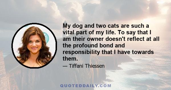 My dog and two cats are such a vital part of my life. To say that I am their owner doesn't reflect at all the profound bond and responsibility that I have towards them.