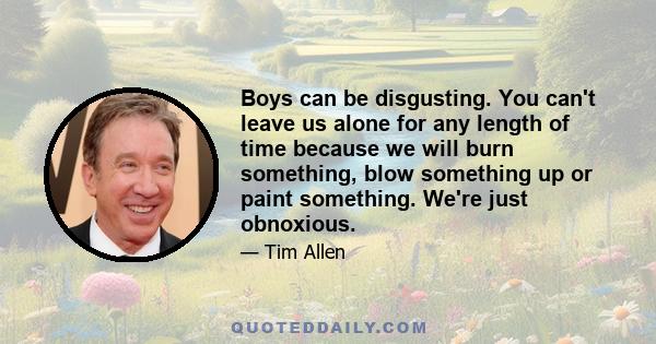 Boys can be disgusting. You can't leave us alone for any length of time because we will burn something, blow something up or paint something. We're just obnoxious.