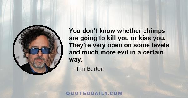 You don't know whether chimps are going to kill you or kiss you. They're very open on some levels and much more evil in a certain way.