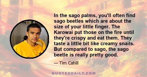 In the sago palms, you'll often find sago beetles which are about the size of your little finger. The Karowai put those on the fire until they're crispy and eat them. They taste a little bit like creamy snails. But