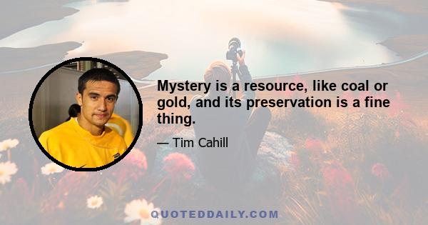 Mystery is a resource, like coal or gold, and its preservation is a fine thing.